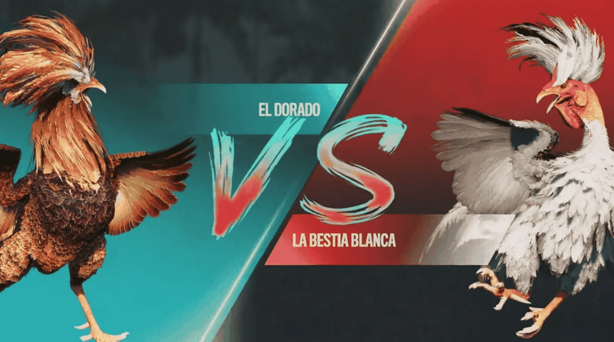 588brl Registro Online e E-Sports Online